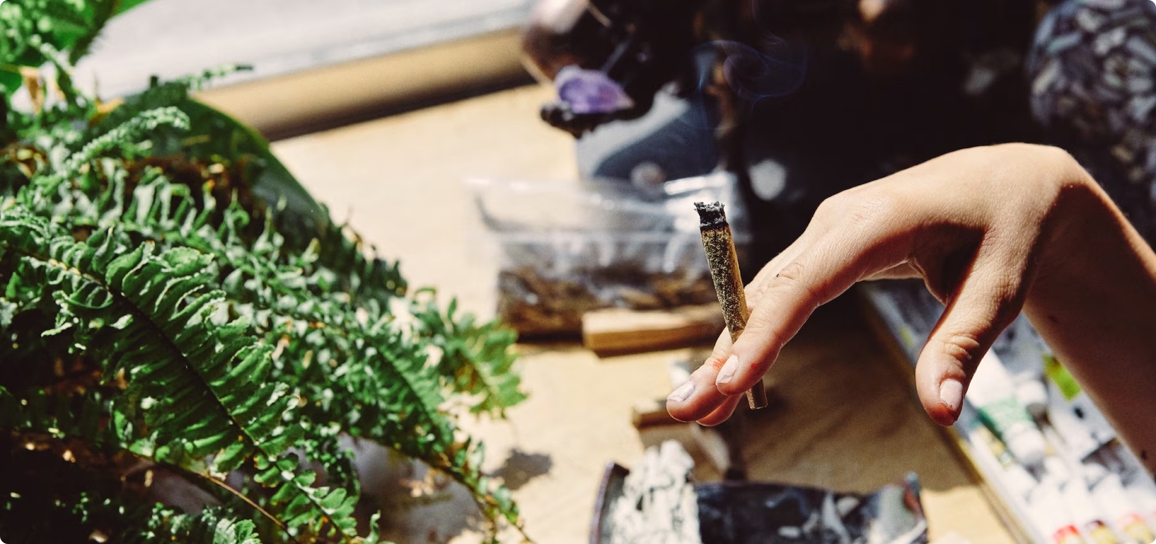 photo-1517701221265-7da25447217b 1